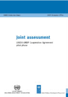 Joint Assessment UNIDO-UNDP Cooperation Agreement - Pilot Phase (2006).pdf