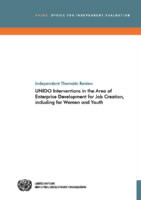 Evaluation report on UNIDO interventions in the area of enterprise development for job creation,  including for women and youth (2015).pdf