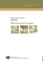 Country evaluation report Egypt (2006).pdf