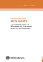 Évaluation-pays Burkina Faso (2009).pdf