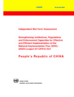 Evaluation report on strengthening institutions regulations and enforcement capacities for effective and efficient implementation of the National Implementation Plan in China (SIRE) (2011).pdf