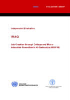 Evaluation report on job creation through cottage and micro-industries promotion in Al-Qadessiya (MISP III) (2011).PDF