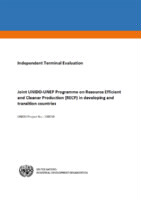 Evaluation report on  joint UNIDO-UNEP resource efficient and cleaner production (RECP) programme for developing and transition countries  (2018).pdf