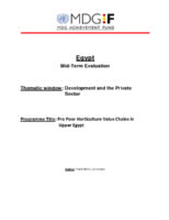 Evaluation report on development and the private sector. Pro poor horticulture value chains in upper Egypt  (2012).pdf