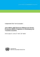 Evaluation report on joint UNIDO-UNEP Resource efficient and cleaner production (RECP) programme for developing and transition countries (2015).pdf