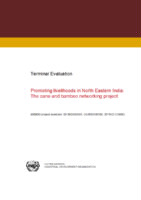 Evaluation report on the cane and bamboo networking project (2014).pdf