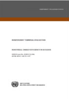 Evaluation report on industrial energy efficiency in Ecuador (2016).pdf