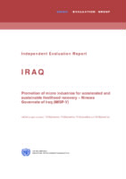 Evaluation report on promotion of micro-industries for accelerated and sustainable livelihood recovery, Ninewa Governorate of Iraq (MISP V) (2013).pdf
