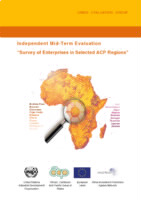 Evaluation report on survey of Enterprises in Selected ACP regions  (2013).pdf