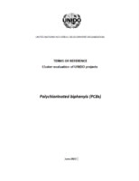 TOR_Independent cluster evaluation of UNIDO polychlorinated biphenyl projects (August 2022).pdf