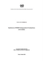 TOR_Synthesis of UNIDO independent evaluations 2018-2022 (February 2023).pdf