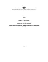 TOR_Independent terminal evaluation. INDONESIA. National Resource Efficient and Cleaner Production (RECP) programme Indonesia (UNIDO Project No. 100224).pdf