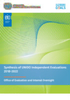 Evaluation Report on Synthesis of UNIDO Independent Evaluations 2018-2022 (2023).pdf