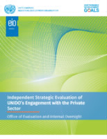Strategic evaluation report on UNIDO engagement with the private sector.pdf
